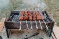 closeup of some meat skewers being grilled in a barbecue. Royalty Free Stock Photo