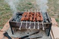 closeup of some meat skewers being grilled in a barbecue. Royalty Free Stock Photo