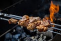 Closeup of some meat skewers being grilled in a barbecue Royalty Free Stock Photo