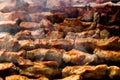 The closeup of some meat skewers being grilled in a barbecue. grilled meat skewers, barbecue Royalty Free Stock Photo