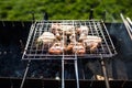 Closeup of some meat skewers being grilled in a barbecue. Grilling marinated shashlik on a grill. Royalty Free Stock Photo