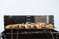 closeup of some meat on Wooden skewers being grilled in a barbecue. Grilling marinated shashlik on a coal grill. Food and Cuisine