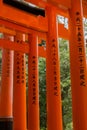 Closeup of some Torii pillars at Fushimi Inari Taisha Shinto Shrine.
