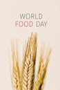 Text world food day and wheat spikes Royalty Free Stock Photo