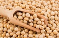 Closeup soy beans background. food background Royalty Free Stock Photo