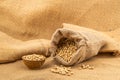 Closeup of soy beans in a sack and in a wooden bowl Royalty Free Stock Photo