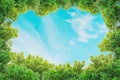 Closeup space of blue sky with thinly cloud with green tree textured background