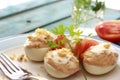 Closeup of Spanish deviled eggs Royalty Free Stock Photo