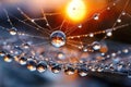Dewdrops on spiderweb at sunrise reflecting orange glow Royalty Free Stock Photo