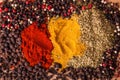 Closeup of spices composition Royalty Free Stock Photo