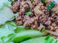 Closeup spicy minced pork salad, minced pork mash with spicy, Thai food