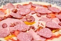 Closeup spicy salami pizza before baking.