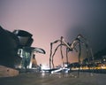 Closeup of a spider sculpture called \