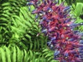 Closeup of spiny red and purple flowering plant Royalty Free Stock Photo