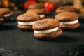 Sponge cocoa cookies whoopie pies Royalty Free Stock Photo