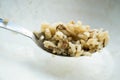 A closeup spoonful of brown cooked rice. Royalty Free Stock Photo
