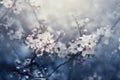 Closeup of spring blossom flower on dark bokeh background. Macro cherry blossom tree branch. Blooming springtime orchard landscape