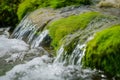 closeup of spring water flowing over green moss rocks Royalty Free Stock Photo