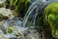 closeup of spring water flowing over green moss rocks Royalty Free Stock Photo