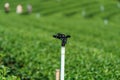 Closeup Sprinkler in green tea plantation is system watering Royalty Free Stock Photo