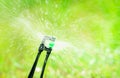 Closeup sprinkler watering grass on blur green background. Sprinkler with automatic system. Garden irrigation system watering lawn Royalty Free Stock Photo