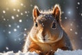 a closeup of a squirrel with a surprised in winter look at camera. ai generative