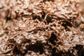 Closeup stack of assortment luxury handmade milk chocolate bars with nuts in shop window. Selective focus. Sweet