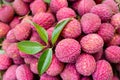 Closeup of stack of pink Lychee fruits and green leaves