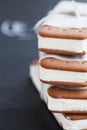 Ice cream biscuits Royalty Free Stock Photo