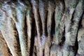 Closeup of stalactite rock formation in underground cave in rural Vietnam