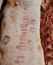 Closeup of a stamped graded piece of Canadian meat in an abatour