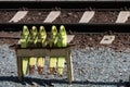 Closeup stand brake shoes track railroad line