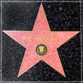 closeup of Star on the Hollywood Walk of Fame for the Muppets