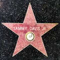 Closeup of Star on the Hollywood Walk of Fame for Sammy Davis JR Royalty Free Stock Photo