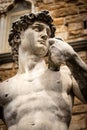 David by Michelangelo - Piazza della Signoria Florence Italy Royalty Free Stock Photo