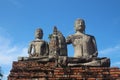 Closeup of statues at Wat Chaiwatthanaram, Thailand