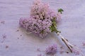 Bouquet of purple lilac flower isolated at light wooden background/ spring decoration/ Welcome spring Royalty Free Stock Photo