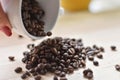 Woman hand holding a cup full of coffee beans Royalty Free Stock Photo