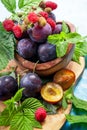 Closeup still life of plums and red raspberry with green leaves