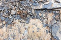 Closeup of stone bank of Broken Bow lake, Oklahoma. Royalty Free Stock Photo