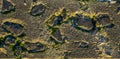 Closeup of a stone pattern at the beach, rock covered in sea weed and sand, natural background