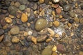 Closeup stone under clear river water