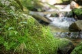 Closeup stones with moss in flowing water