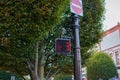 Closeup of a Stoplight Pedestrian signal