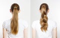 Closeup before-after straight curly wavy high ponytail back view isolated on white background. Quick and easy Hair-styles for