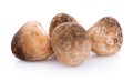 Straw mushrooms isolated on white background Royalty Free Stock Photo