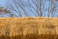 Closeup of straw thatched roof Royalty Free Stock Photo