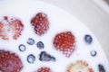 Closeup of strawberries and blueberries floating in milk.