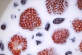 Closeup of strawberries and blueberries floating in milk.