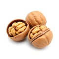 Closeup Studio Shot of Three Pristine Walnut Kernels Isolated on White A Nutritious and Organic Snacking Delight Royalty Free Stock Photo